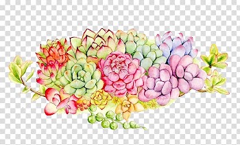 Green and purple flowers, Succulent plant Floral design Watercolor painting, Multi-colored bouquet meat transparent background PNG clipart