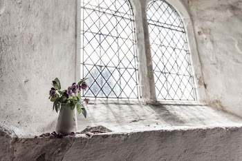 green and purple petal flowers on white vase near window