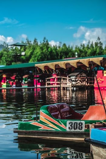 green and red 308 boat floating on water during daytime