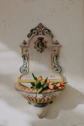 Green and Red Plant on Brown Ceramic Pot · Free Stock Photo