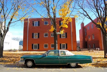 green and white coupe near tree at daytime