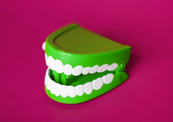 Green and White Denture Toy