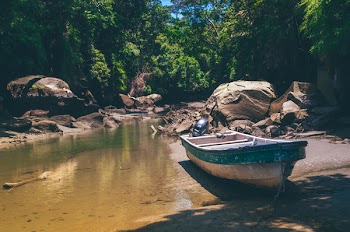 Green and White Fishing Boat Near Body of Water