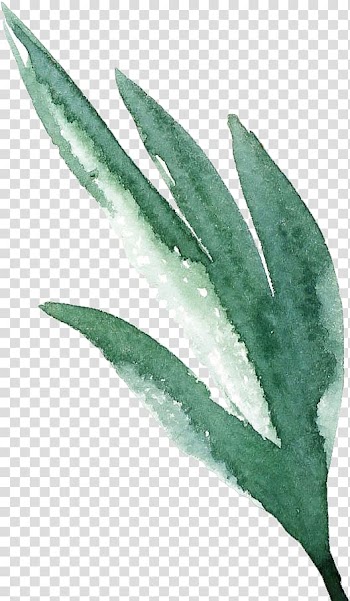 Green and white leafed plant illustration, Watercolor painting Watercolor: Flowers, Watercolor Retro Green Leaves transparent background PNG clipart