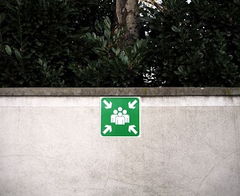 green and white signage