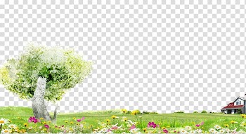 Green and white trees and pink and yellow petaled flowers , Trees and flowers green grass background material transparent background PNG clipart