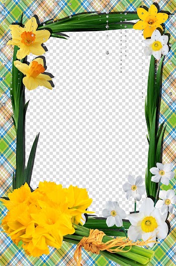 Green and yellow floral themed , Narcissus tazetta No frame, Mood Frame transparent background PNG clipart