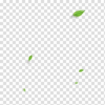 Green Angle Pattern, Falling leaves transparent background PNG clipart
