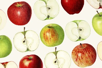 Green apple background, vintage illustration | Free Photo - rawpixel