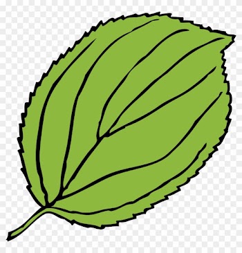 Green, Apple, Outline, Leaf, Tree, Cartoon, Free, Plant - Leaf Clip Art