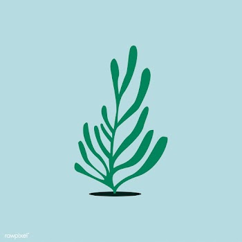 Green aqua seaweed algae illustration | Free stock vector - 462123