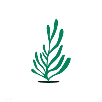 Green aqua seaweed algae illustration | Free stock vector - 462172