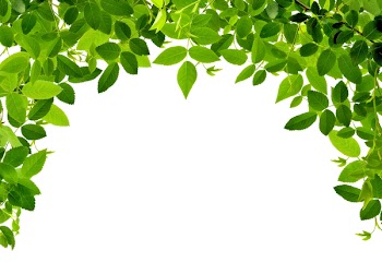 Green arch on the white background (isolated).