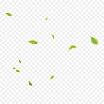 Green Area Angle Pattern - Floating leaves 