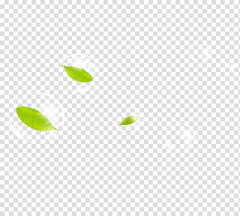 Green Area Angle Pattern, Leaf drops transparent background PNG clipart