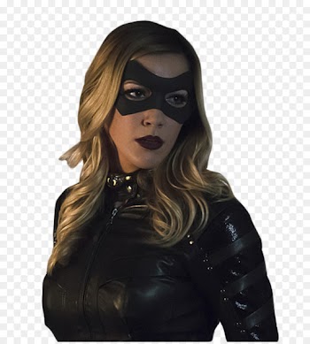 Green Arrow and Black Canary Green Arrow and Black Canary Flash vs. Arrow Comic book - hawkman 