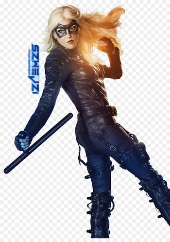 Green Arrow and Black Canary Green Arrow and Black Canary Flash vs. Arrow Comics - others 