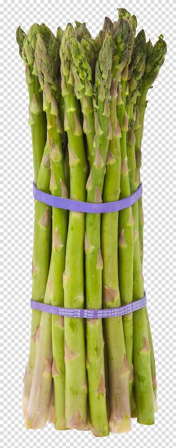 Green asparagus, Cream of asparagus soup Vegetable Cooking Eating, Asparagus transparent background PNG clipart