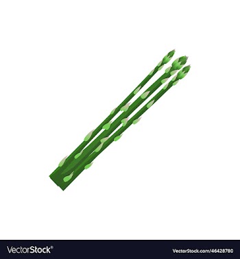 green asparagus icon