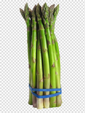 Green asparagus illustration, Asparagus Vegetable Food Broccoli Onion, Asparagus transparent background PNG clipart