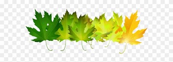 Green Autumn Leaves Transparent Clip Art Image - Maple Leaf