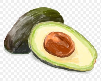 Green avocado png sticker hand drawn