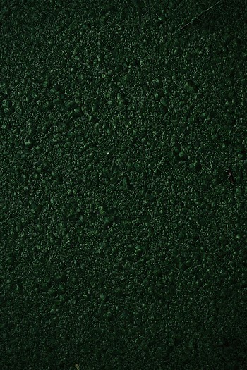 Green Background