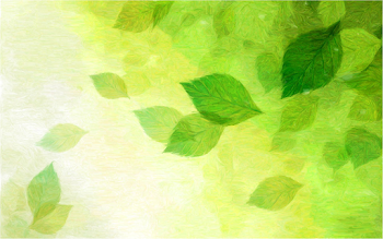 Green Background Png (108+ images in Collection) Page 1