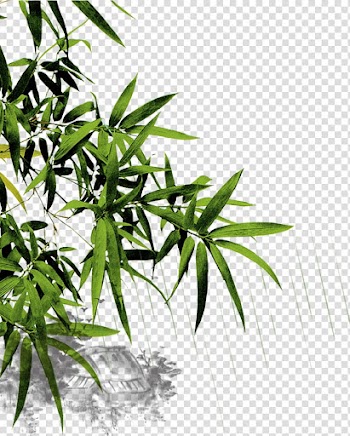 Green bamboo leaves illustration, China Bamboo Mid-Autumn Festival Qingming Festival, bamboo transparent background PNG clipart
