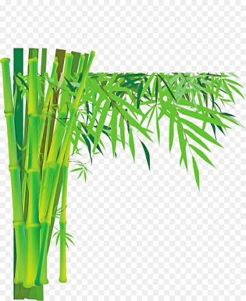 green bamboo plant leaf tree