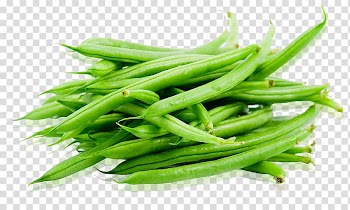 Green bean French cuisine Vegetable Edamame, vegetable transparent background PNG clipart