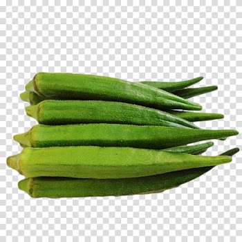 Green bean Okra Vegetarian cuisine Vegetable Gourd, vegetable transparent background PNG clipart