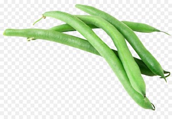 Green bean Vegetable Garlic - Green Beans 