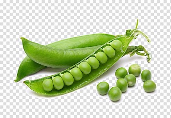 Green beans, Chickpea Vegetable Legume Fruit, Peas vegetable HQ transparent background PNG clipart