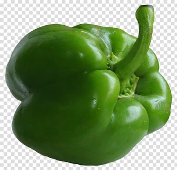 Green bell pepper, Bell pepper Vegetable , Green Pepper transparent background PNG clipart