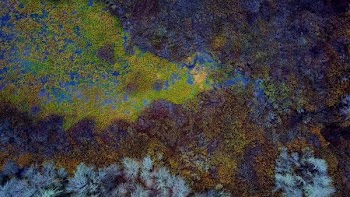 green, blue, and brown mat
