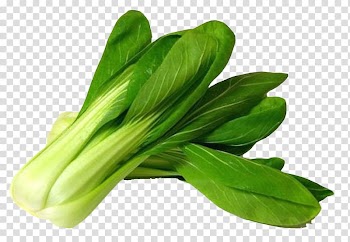 Green bok choy illustration, Bok choy Vegetable, Bok Choy transparent background PNG clipart