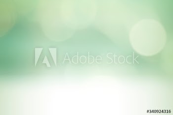Green bokeh textured plain background