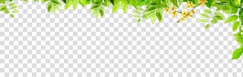 Green border, Graphic design Green Pattern, Green leaves border transparent background PNG clipart