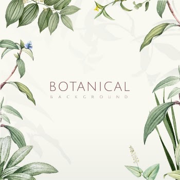 Green botanical leaves background design Free Vector