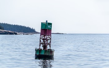 Green Bouy on Ocean
