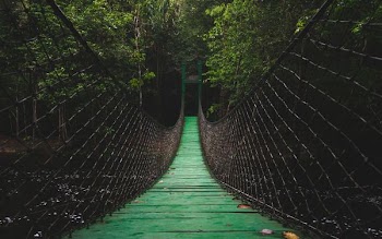 green bridge