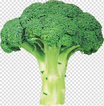 Green broccoli, Broccoli Vegetable, Broccoli with background transparent background PNG clipart
