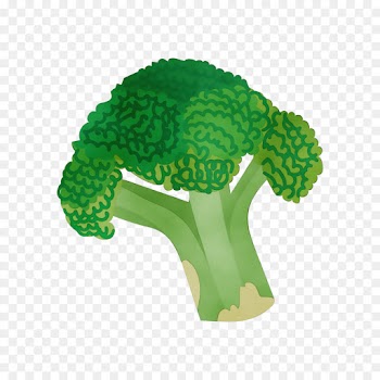 green broccoli cruciferous vegetables leaf vegetable grass