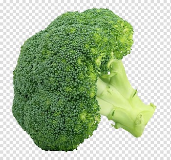Green broccoli illustration, Broccoli slaw Buffet Vegetable Broccoli sprouts, Broccoli transparent background PNG clipart