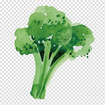Green broccoli illustration, Broccoli Vegetable Food, Healthy Broccoli transparent background PNG clipart