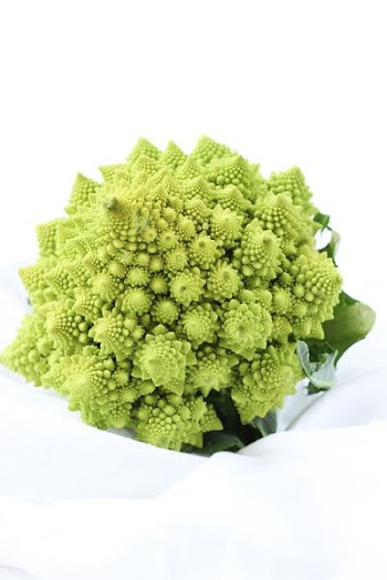 green broccoli vegetable