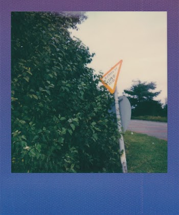 Green Bush