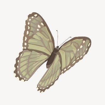Green butterfly illustration collage element | Free Vector Illustration - rawpixel