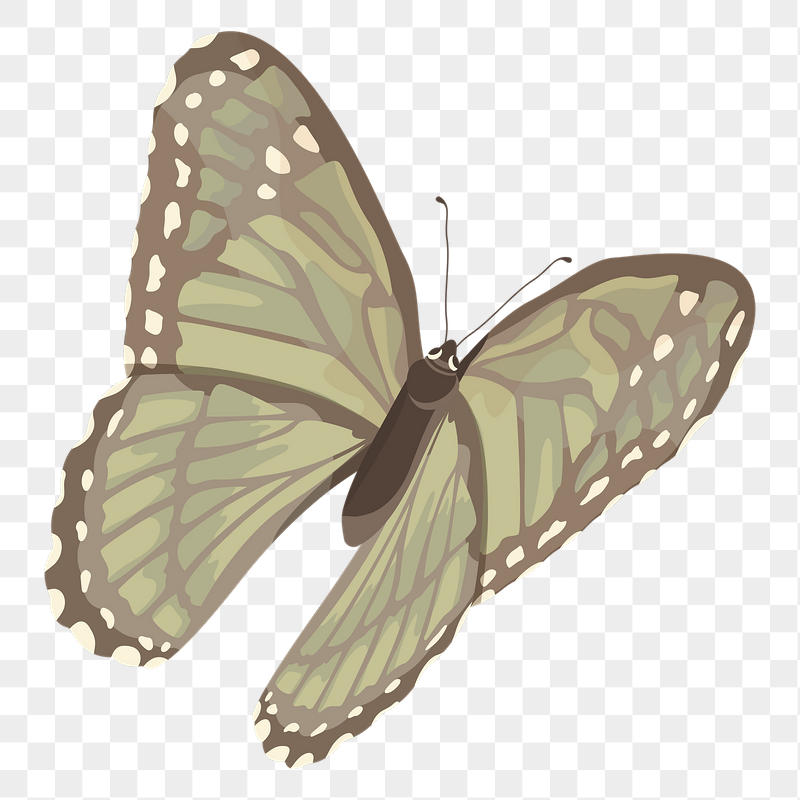 Green butterfly png illustration sticker, | Free PNG - rawpixel